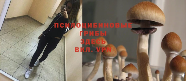 кокаин премиум Богородицк