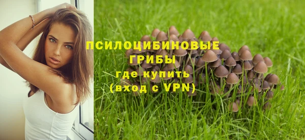 Альфа ПВП Аркадак